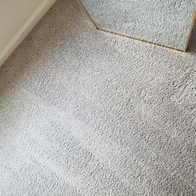 Carpet Cleaning and Stain Removal - After