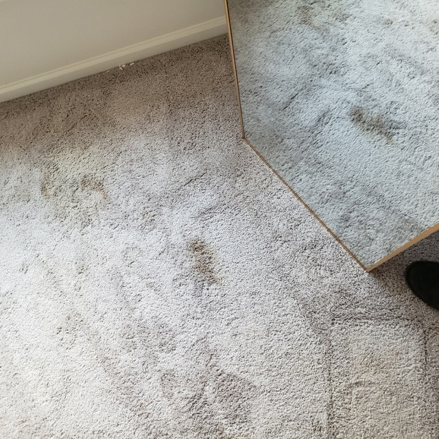 Carpet Cleaning and Stain Removal - Before