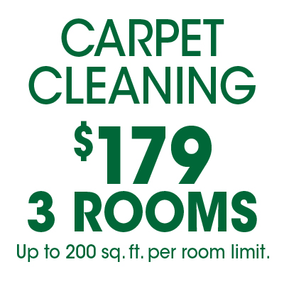 FiberCare of Atlanta Carpet Cleaning Special Promotion
