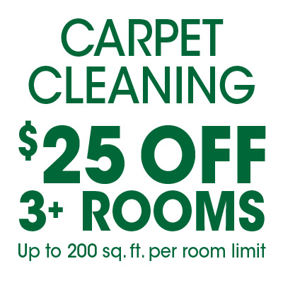 FiberCare of Atlanta Carpet Cleaning Special Promotion