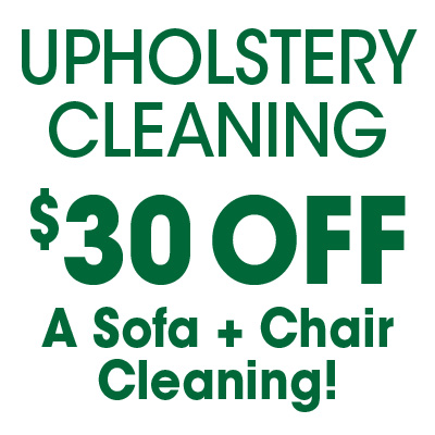 FiberCare of Atlanta Upholstery Cleaning Special Promotion