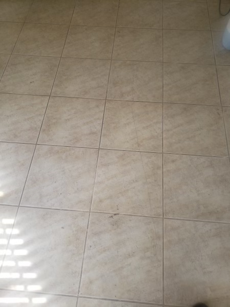 Tile and Grout Cleaning - Before
