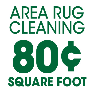 FiberCare of Atlanta Area Rug Cleaning Special Promotion